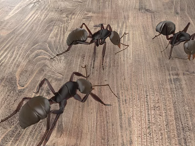 Reptiles Crawling On Natural Wooden Floor Surface 3d model