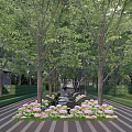 Residential Landscape Design With Lined Trees Pink Hydrangeas And Striped Walkway Layout