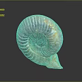 Aquatic Animal Ammonite Fossil Shell With Intricate Spiral Design And Natural Texture