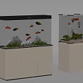 Aquarium Fish Tanks With Colorful Fish Plants Rocks And Cabinet Stands