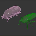 Two Metallic Beetles 3D Rendered With Shiny Shells On Dark Reflective Surface