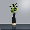 Dark Colored Vase with Long Green Leaves on Smooth Surface and Gray Wall Shadow