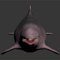 Aquatic Animal Pink Dolphin With Open Mouth And Smooth Skin