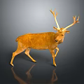 Golden Deer Model With Large Antlers Standing On Dark Background With Reflection