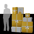 Elegant CARINA Lifestyle Gift Boxes with Gold White Design Ribbons and Person Silhouette