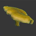 Bright Yellow Fresh Vegetable Mushroom with Smooth Surface and Dark Background Reflection