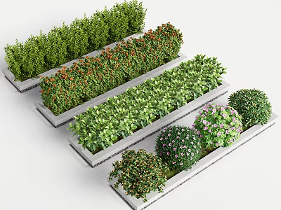Diverse Shrubs with Green Foliage and Red Berries in Rectangular Planters and Rounded Shapes 3d model