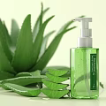 Aloe Vera Succulent Plant with Fresh Leaves and Green Hand Sanitizer Bottle