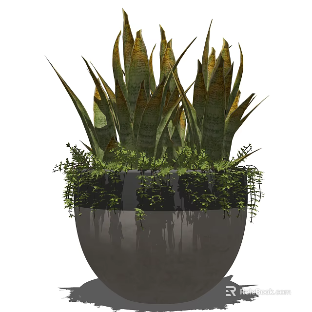 Potted Plant with Green Yellow Striped Leaves and Hanging Vines in Gray Pot 3d model 