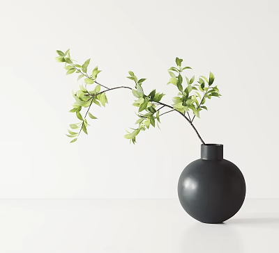 Simple Modern Black Round Vase With Green Leafy Branches On White Background 3d model