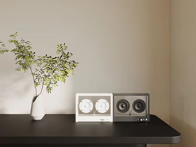 Gray and White Transparent Audio Speakers on Black Table with Green Plant and White Vase 3d model