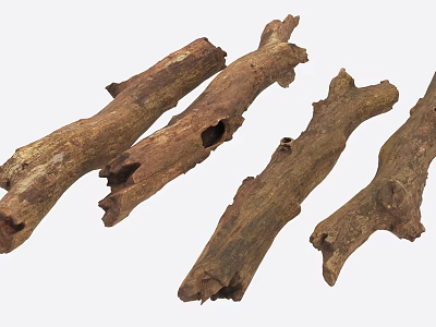 Natural Garden Landscape With Decorative Weathered Wood Logs And Rustic Charm 3d model