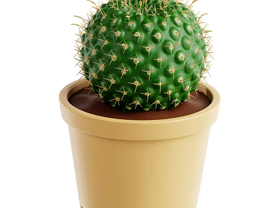 Indoor Green Spherical Cactus With Sharp Spines In Beige Pot And Brown Soil 3d model