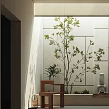 Modern Indoor Garden Landscape With White Square Tile Wall Green Plant And Skylight Lighting