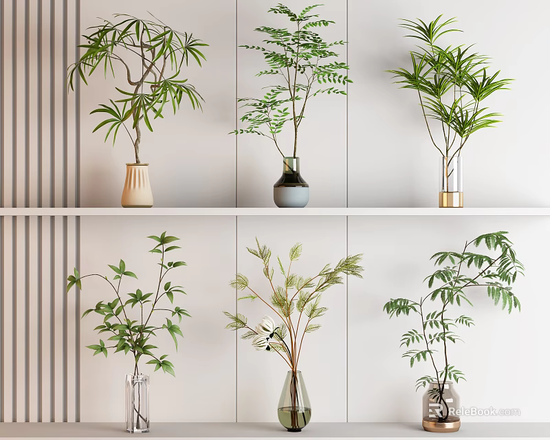 Minimalist Potted Plants Display On White Shelf With Various Vases And Green Foliage 3d model 