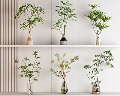 Minimalist Potted Plants Display On White Shelf With Various Vases And Green Foliage 3d model