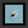 Transparent Cube Container With Red Fish Jumping Water Splashes And White Sand