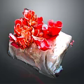 Red Coral Mushrooms With Flower Shaped Structure On Natural Stone Base