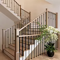 Wooden Staircase With Black Metal Railings In Modern Interior With Green Plant