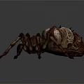 Realistic Giant Spider With Spiky Back Red Markings And Long Legs