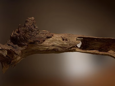 Stone And Wood Natural Artistic Decor Piece Featuring Rough Texture And Unique Natural Shape Details 3d model