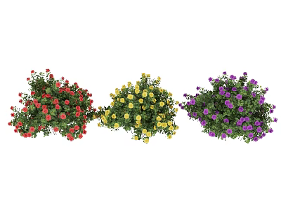 Vibrant Red Yellow Purple Flower Bunches Colorful Blooms For Garden Decor 3d model