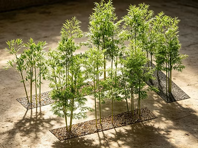 Healthy Bamboo Seedlings Neatly Growing On Planting Mats With Sunlit Green Leaves 3d model