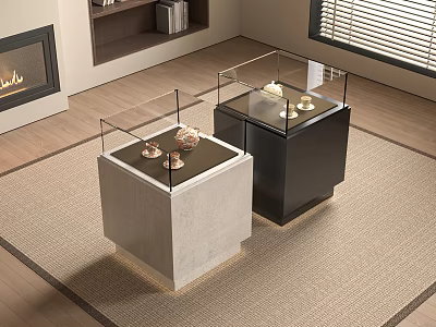 Modern Display Cabinets With Glass Covers Gray Concrete And Black Bases In Living Room Interior 3d model