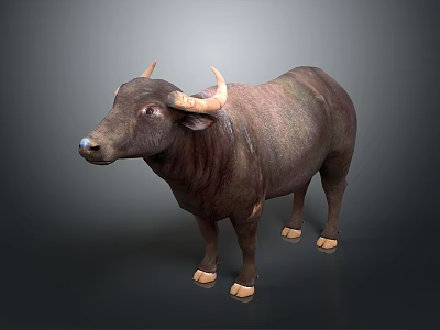 Realistic 3D Model Of Brown Buffalo With Curved Horns And White Hooves 3d model