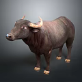 Realistic 3D Model Of Brown Buffalo With Curved Horns And White Hooves