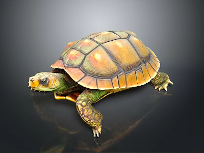 Vibrant Turtle with Orange and Green Glossy Shell Pattern on Dark Background 3d model