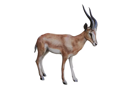 Horned Lizard With Brown And White Skin Standing On White Background 3d model