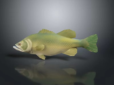 Lifelike Green Yellow Decorative Fish Model For Home Household Decor Accessory 3d model