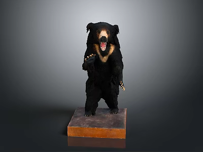 Lifelike Black Bear Taxidermy Standing on Wooden Base with Open Mouth 3d model
