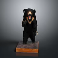 Lifelike Black Bear Taxidermy Standing on Wooden Base with Open Mouth