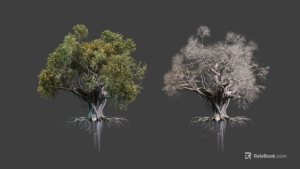 Two Arbor Trees Showing Lush Green Foliage And Bare Branches With Exposed Roots 3d model 