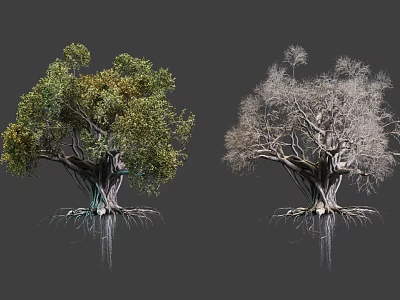 Two Arbor Trees Showing Lush Green Foliage And Bare Branches With Exposed Roots 3d model