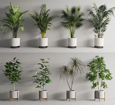 Various Green Leaf Potted Plants In White And Silver Pots For Home Decor 3d model