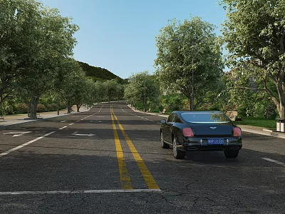 Municipal Road With Two Way Lanes Yellow Dividing Lines And Trees On Both Sides 3d model