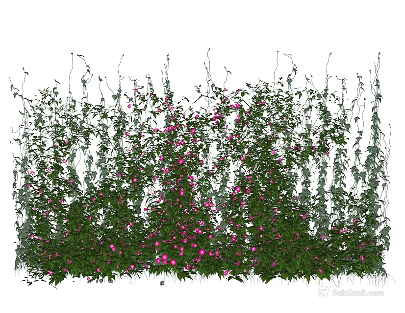 Lush Climbing Vines With Green Leaves And Pink Flowers In Garden 3d model 
