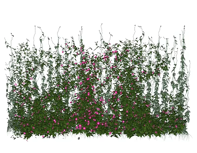 Lush Climbing Vines With Green Leaves And Pink Flowers In Garden 3d model