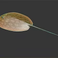 Spotted Yellow Stingray With Flat Body And Long Tail On Dark Background