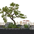 pine landscape modeling tree mountain pine stone micro terrain 3d model