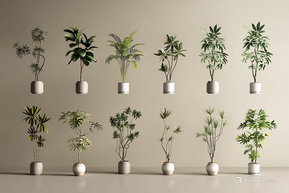Various Green Leafy Potted Plants In White Pots Arranged On Beige Background 3d model 