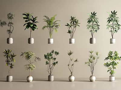 Various Green Leafy Potted Plants In White Pots Arranged On Beige Background 3d model