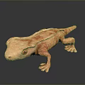 Realistic Light Brown Gecko Reptile With Red Eyes And Smooth Skin On Dark Background