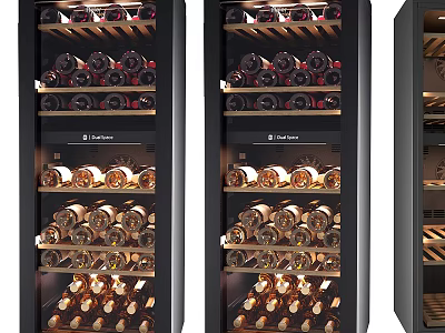 Wine Bottles Display In Stylish Wine Coolers 3d model