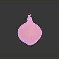 Fresh Golden Yellow Onion With Shiny Smooth Surface Isolated On Black Background
