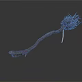 Exotic Plant With Long Curved Stem Fibrous Root System And Ornamental Details