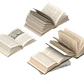 Open Books Displaying Pages With Text And Illustrations On White Background 3d model